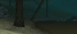 18cc09_25IMG-20250510-024631-505.jpg