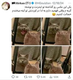 IMG_20260117_212435_1 ... .jpg