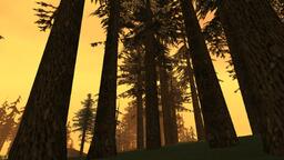 242807_25gallery3.jpg