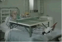 299530_25www-farsv-com-4.gif