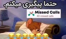 hye3za3vhhob.jpg