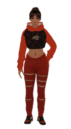 55.png