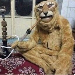 3c2025_25c3ee9b8aed2063703bf50d3f56aa05d