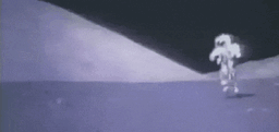ezgif.com-gif-maker.gif