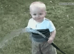 4eda29_25funny-gif-6-.gif