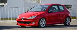 513f06_25peugeot-206-rc-2-1.jpg