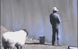 601030_25۲۰۲۵۰۸۳۰-۰۸۲۳۳۳.gif