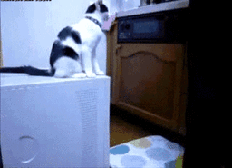 748529_25۲۰۲۵۰۸۲۹-۱۹۳۳۱۱.gif