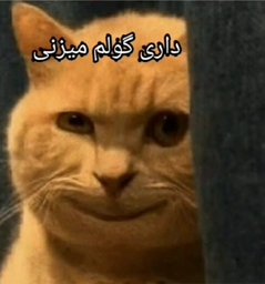 IMG_۲۰۲۶۰۱۱۷_۲۲۵۷۱۴.jpg