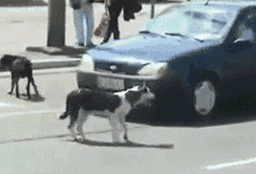 a13e29_25۲۰۲۵۰۸۲۹-۱۹۳۰۳۴.gif
