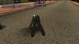 a98214_25gallery19.jpg