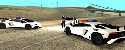 dfe325_25policelambo-rycx.jpg