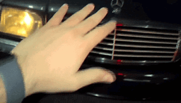 InShot_20260117_11202 ... .gif