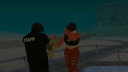 e6e915_26-2147483648-212035.jpg