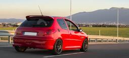 fbd206_25peugeot-206-rc-5.jpg